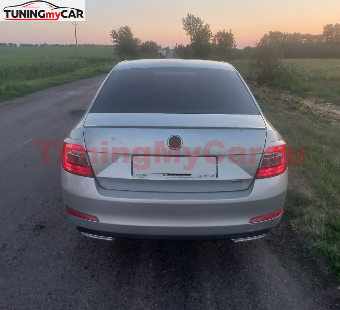 Накладки на задние фонари (реснички) для Skoda Octavia A7 2012-2017 (III дорестайлинг)