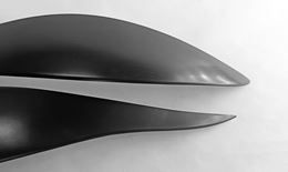 Реснички на фары TOYOTA IPSUM 2003-2009 ACM 20 РЕСТАЙЛИНГ