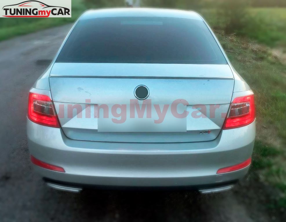 Накладки на задние фонари (реснички) для Skoda Octavia A7 2012-2017 (III дорестайлинг)