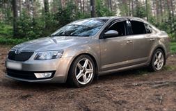 Накладки на фары для Skoda Octavia 2013-2020