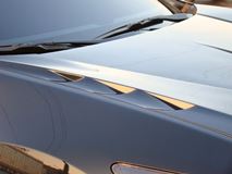 Капот пластиковый "Agressive Sport" для Honda Accord VIII 2008-2012/Acura TSX (CU2) Var №2 (с прорезанным центральным воздуховодом)