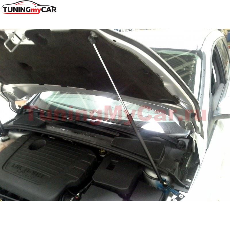 Упоры капота для Ford Focus 2