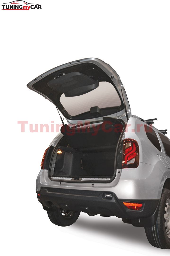 Накладки на 5 дверь (6 шт) (ABS) RENAULT DUSTER 2012-