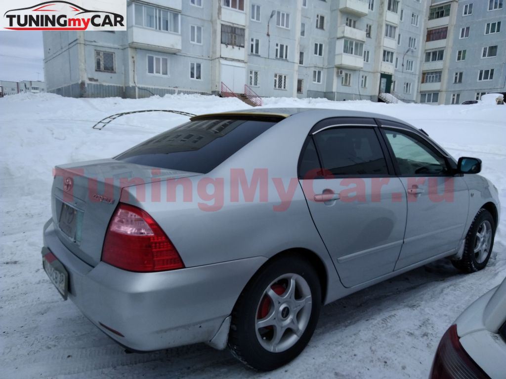 Спойлер на заднее стекло Toyota Corolla NZE120 2000-2007