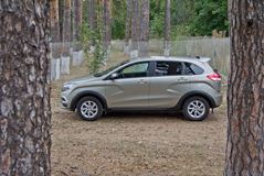 Спойлер НИЖНИЙ из комплекта Чистое стекло LADA XRAY с 2016 г.в. (с покраской)