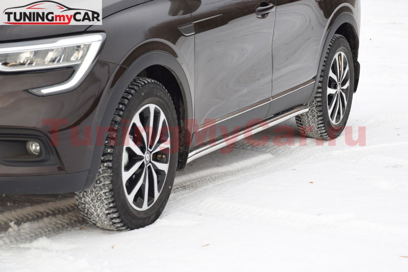 Защита порогов вогнутая (НПС) Renault ARKANA с 2019 -