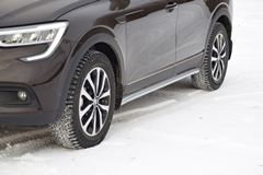 Защита порогов вогнутая Ø51 мм (ППК) (Цвет Искра) Renault ARKANA c 2019-