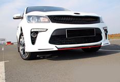 Клыки + средняя вставка между клыками Kia Rio 4