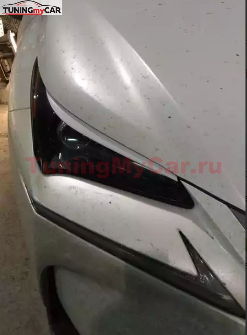 Реснички на фары для LEXUS NX Z10 2014-2017
