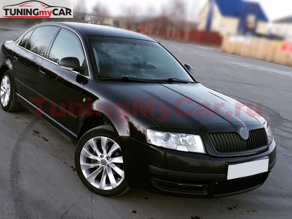 Реснички на фары для Skoda Superb 2001-2008