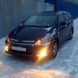 Реснички на фары для Toyota Wish ANE10 узкие