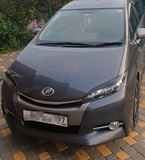 Реснички на фары Toyota Wish XE20 2009-2017