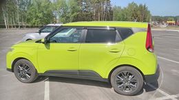 Молдинги на двери (Шагрень) KIA Soul 2019-
