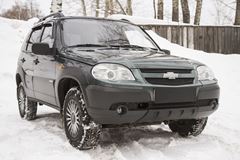 Защитная сетка и заглушка решетки переднего бампера Chevrolet Niva Bertone 2009-2019