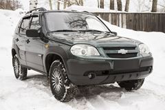 Защитная сетка и заглушка решетки переднего бампера Chevrolet Niva Bertone 2009-2019