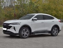 Защита переднего бампера d63 секции black для Haval F7X 4WD 2022-
