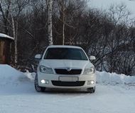 Зимняя заглушка решетки переднего бампера Skoda Octavia A5 2008-2013 2 поколение рестайлинг