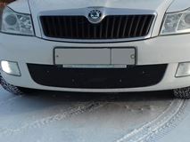 Зимняя заглушка решетки переднего бампера Skoda Octavia A5 2008-2013 2 поколение рестайлинг