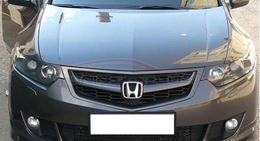 Реснички длинные на передние фары Honda Accord 8
