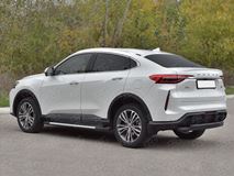 Защита заднего бампера d63 дуга-d42 дуга black для Haval F7X 4WD 2022- 