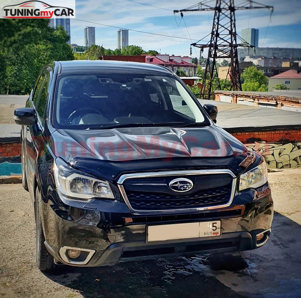 Реснички на фары для Subaru Forester (SJ) 2013-2016