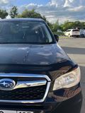 Реснички на фары для Subaru Forester (SJ) 2013-2016 