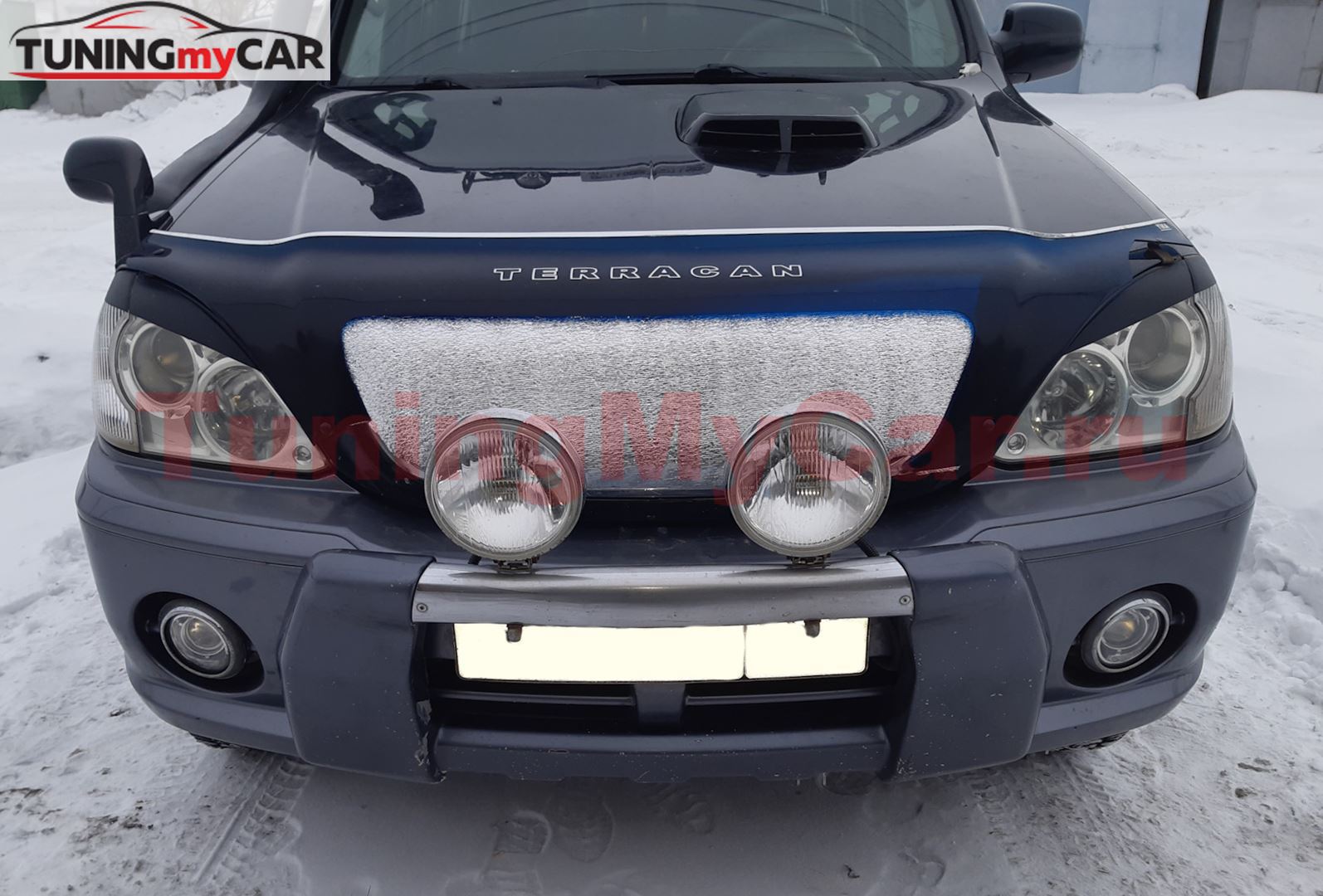 Накладки на фары (реснички) для Hyundai Terracan 2001-2007